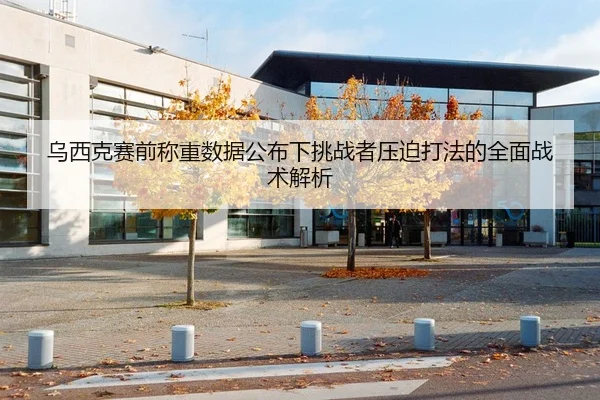乌西克赛前称重数据公布下挑战者压迫打法的全面战术解析